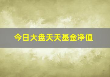 今日大盘天天基金净值