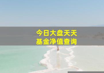 今日大盘天天基金净值查询