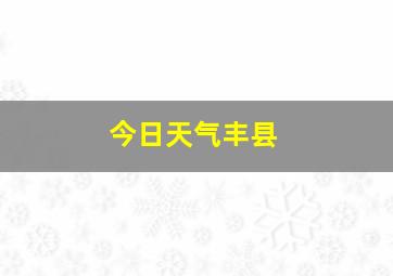 今日天气丰县