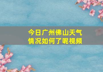 今日广州佛山天气情况如何了呢视频