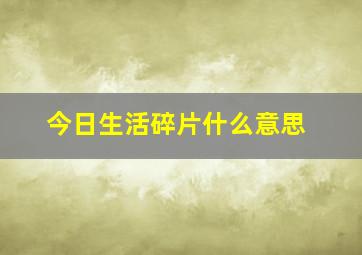 今日生活碎片什么意思