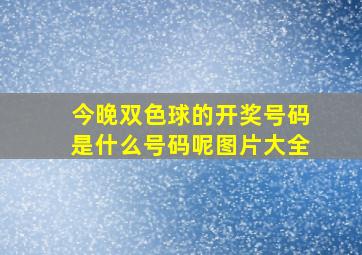 今晚双色球的开奖号码是什么号码呢图片大全