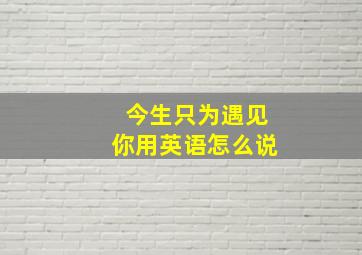 今生只为遇见你用英语怎么说