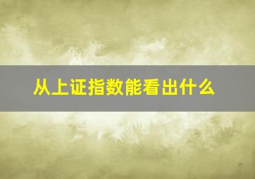 从上证指数能看出什么