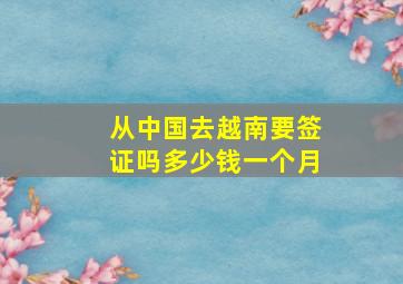 从中国去越南要签证吗多少钱一个月