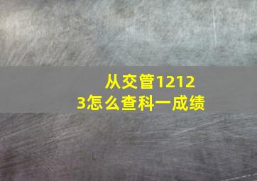 从交管12123怎么查科一成绩