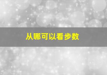 从哪可以看步数