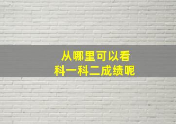 从哪里可以看科一科二成绩呢