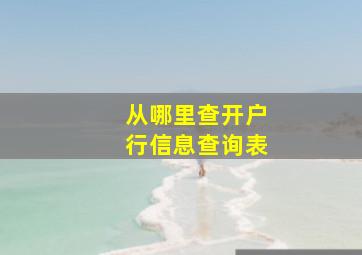 从哪里查开户行信息查询表