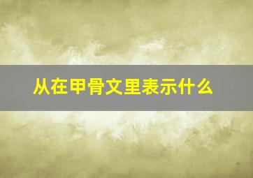 从在甲骨文里表示什么