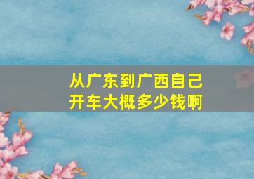 从广东到广西自己开车大概多少钱啊