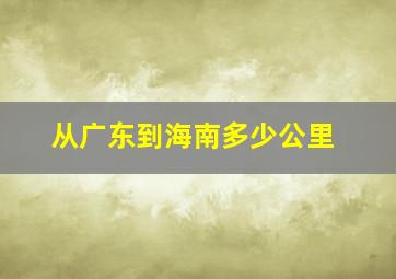 从广东到海南多少公里