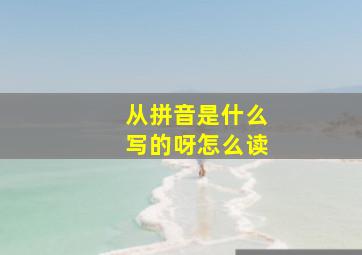 从拼音是什么写的呀怎么读