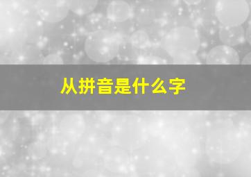 从拼音是什么字