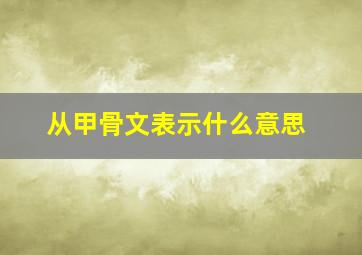 从甲骨文表示什么意思