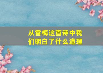 从雪梅这首诗中我们明白了什么道理