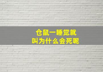 仓鼠一睡觉就叫为什么会死呢