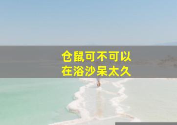 仓鼠可不可以在浴沙呆太久