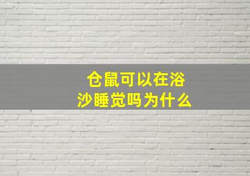 仓鼠可以在浴沙睡觉吗为什么