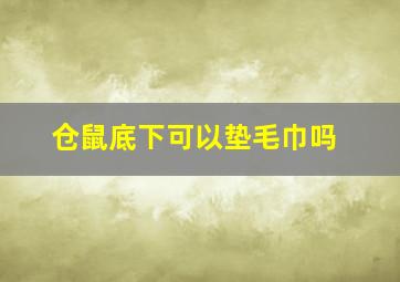 仓鼠底下可以垫毛巾吗