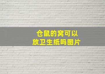 仓鼠的窝可以放卫生纸吗图片