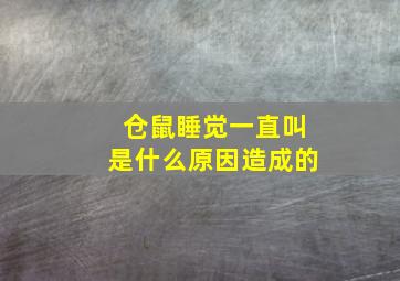 仓鼠睡觉一直叫是什么原因造成的