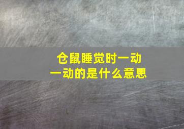 仓鼠睡觉时一动一动的是什么意思