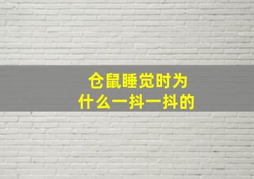 仓鼠睡觉时为什么一抖一抖的