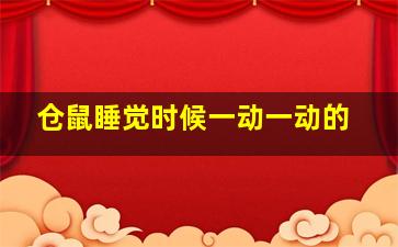 仓鼠睡觉时候一动一动的