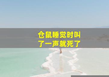 仓鼠睡觉时叫了一声就死了