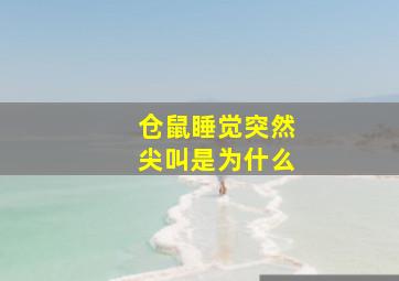 仓鼠睡觉突然尖叫是为什么