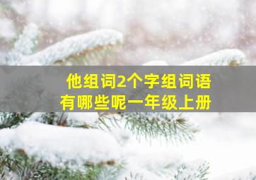 他组词2个字组词语有哪些呢一年级上册