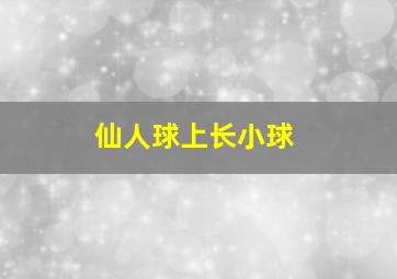 仙人球上长小球