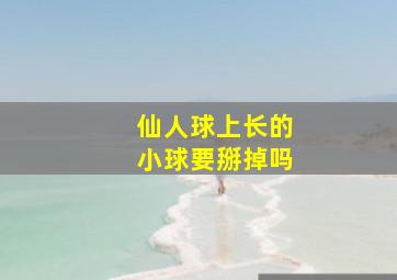 仙人球上长的小球要掰掉吗