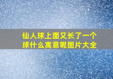 仙人球上面又长了一个球什么寓意呢图片大全