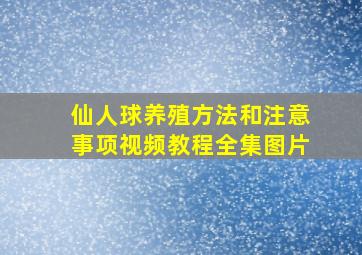 仙人球养殖方法和注意事项视频教程全集图片