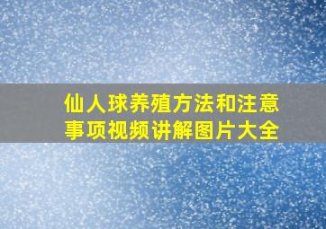 仙人球养殖方法和注意事项视频讲解图片大全