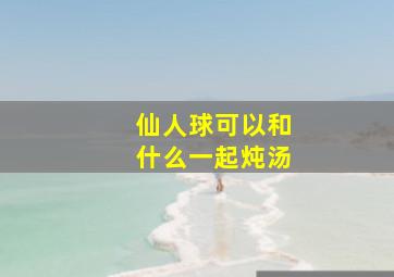 仙人球可以和什么一起炖汤