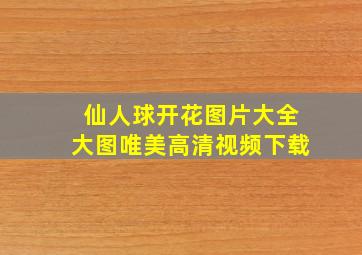 仙人球开花图片大全大图唯美高清视频下载