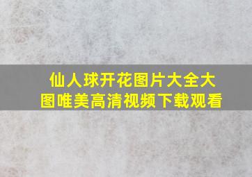 仙人球开花图片大全大图唯美高清视频下载观看