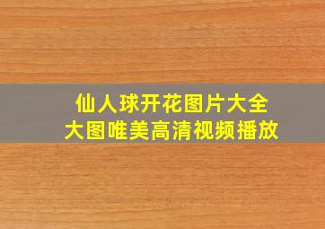 仙人球开花图片大全大图唯美高清视频播放