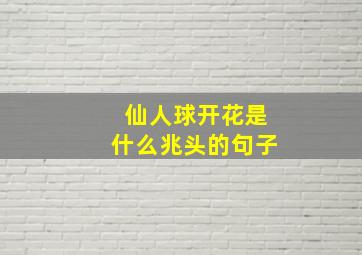 仙人球开花是什么兆头的句子