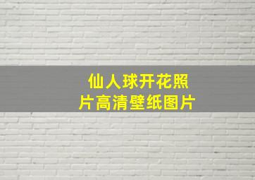 仙人球开花照片高清壁纸图片