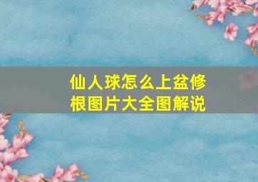 仙人球怎么上盆修根图片大全图解说