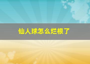 仙人球怎么烂根了