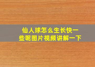 仙人球怎么生长快一些呢图片视频讲解一下