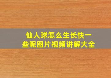 仙人球怎么生长快一些呢图片视频讲解大全