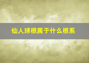 仙人球根属于什么根系