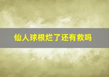 仙人球根烂了还有救吗