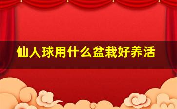 仙人球用什么盆栽好养活